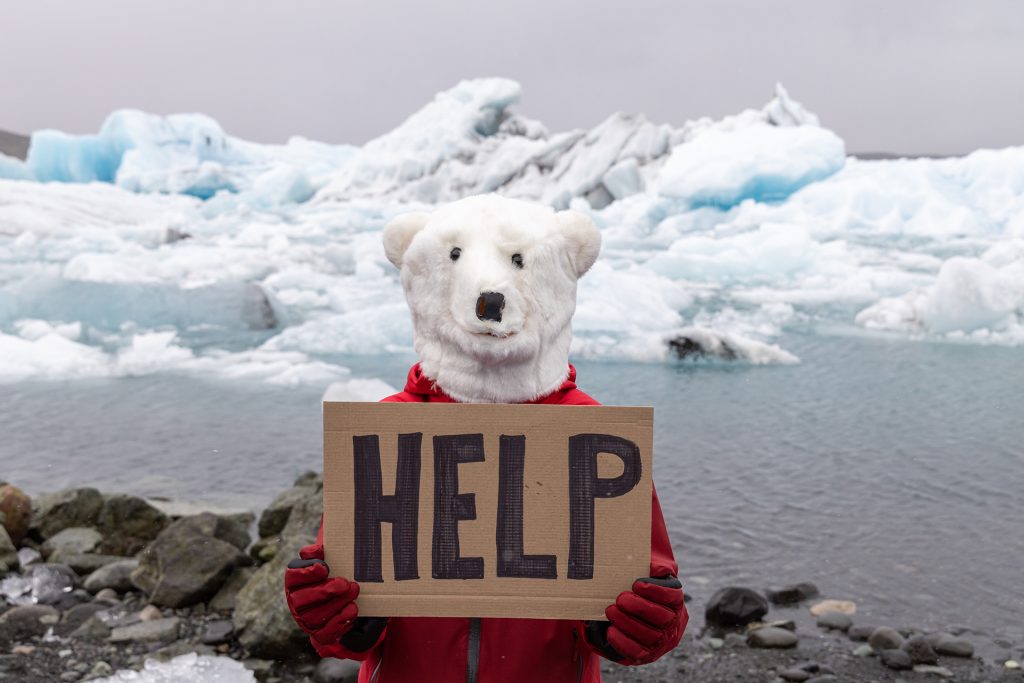 activist-on-polar-bear-mask-with-a-message-to-mank-2022-09-01-21-23-17-utc