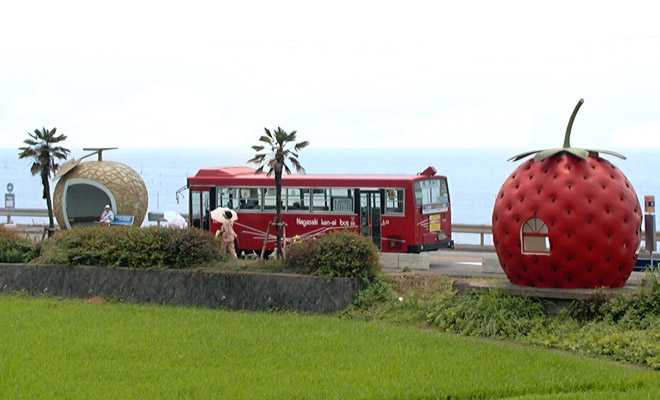 fruit-bus-stops-pair-1a