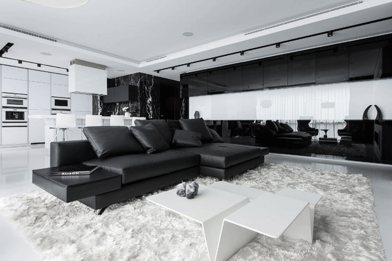 black-and-white-apartment_280716_04