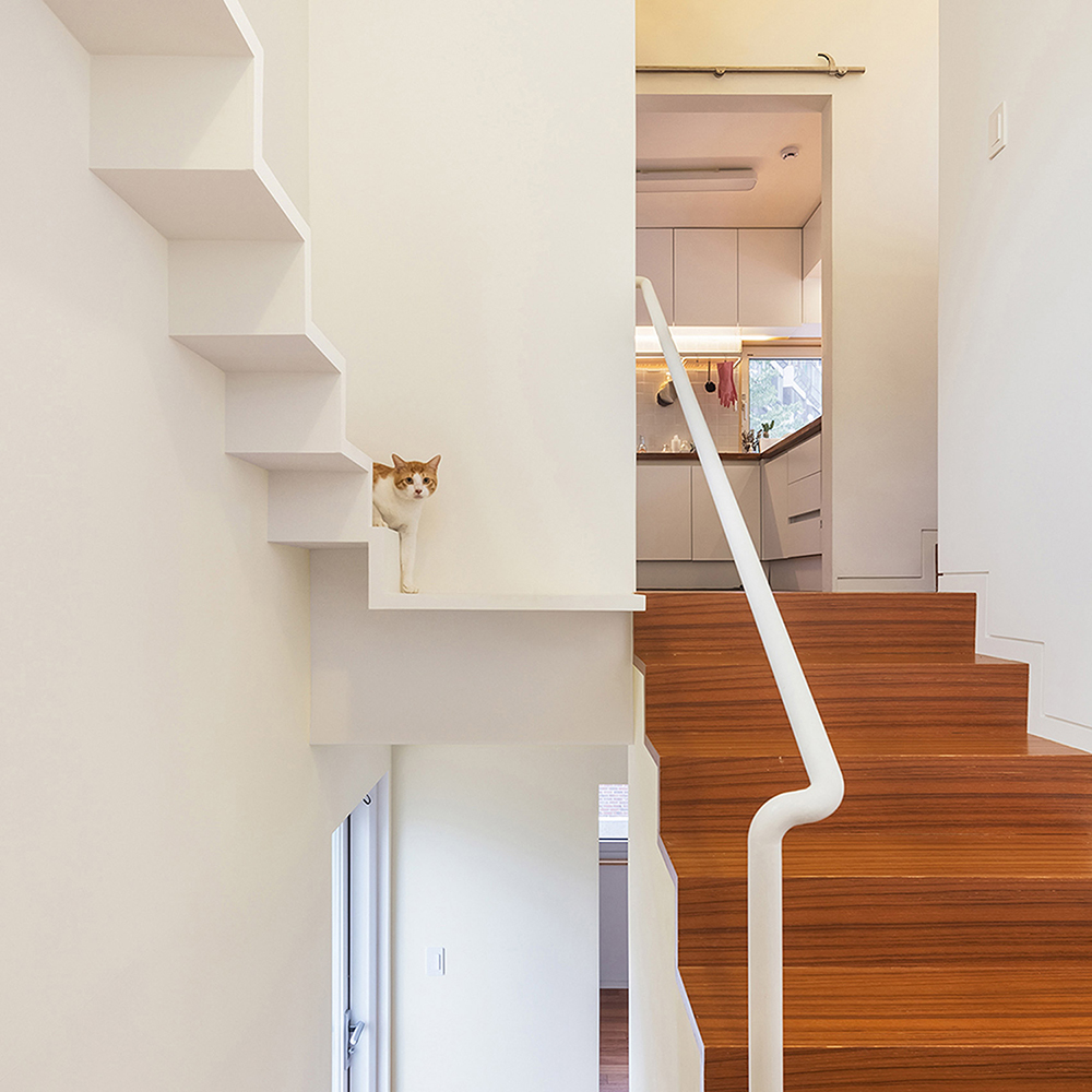 house-in-seoul-obba-house-architecture-for-cats_dezeen_1704_col_4