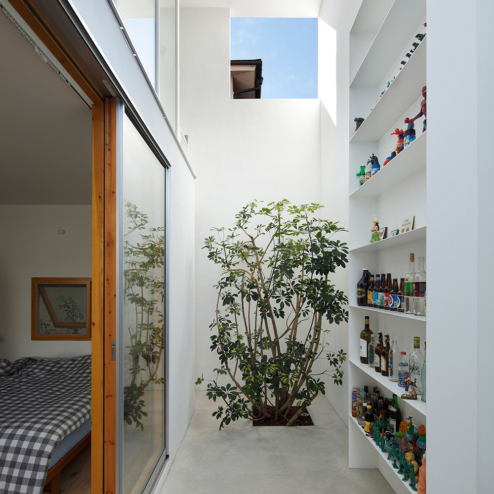 inside-out-house-architecture-for-cats_dezeen_1704_col_1