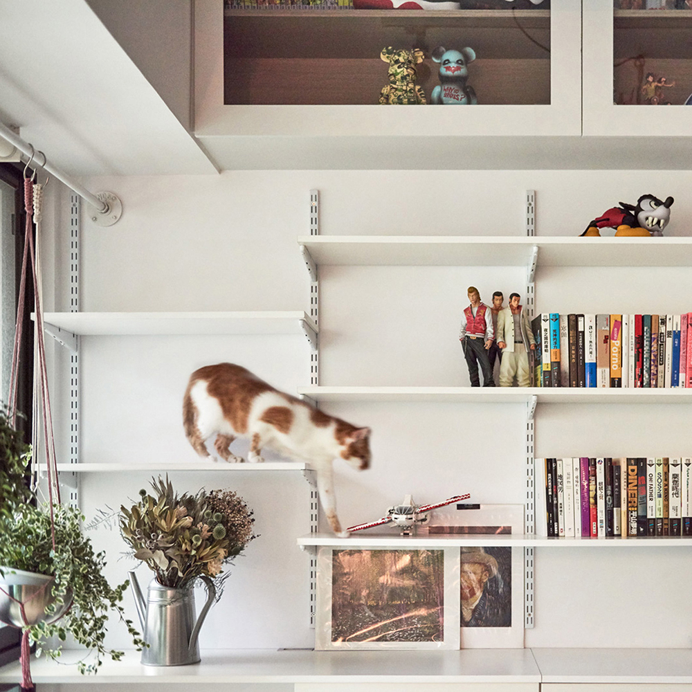 loft-h-st-studio-house-architecture-for-cats_dezeen_1704_col_6