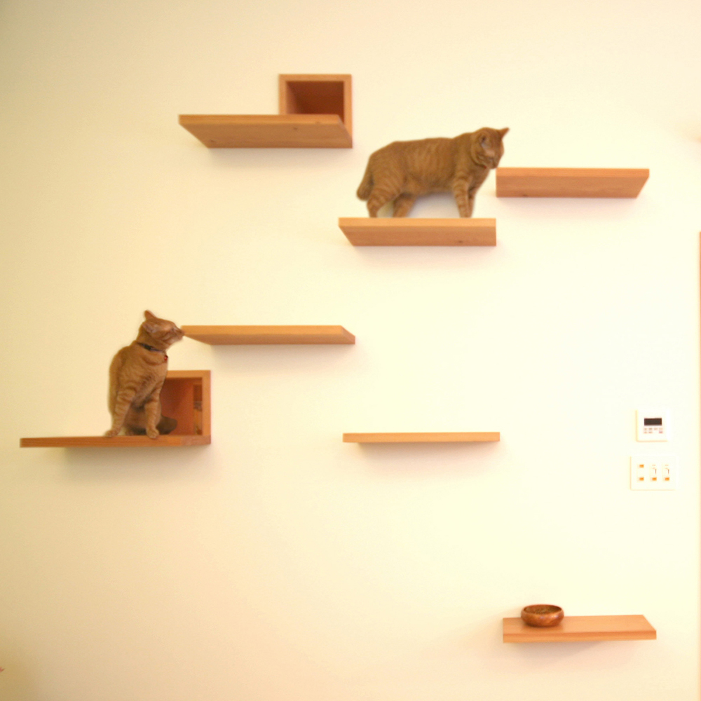 the-cat-house-key-operation-house-architecture-for-cats_dezeen_1704_col_4