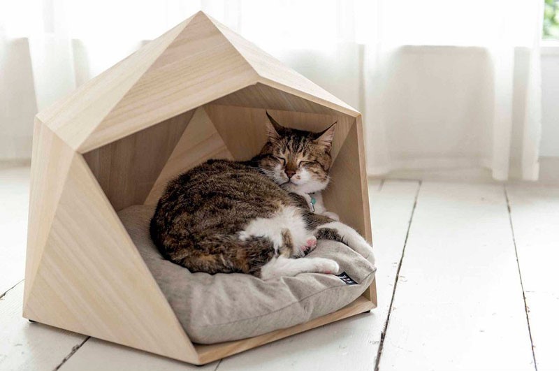 modern-wooden-pet-beds-cats-dogs-200217-342-04
