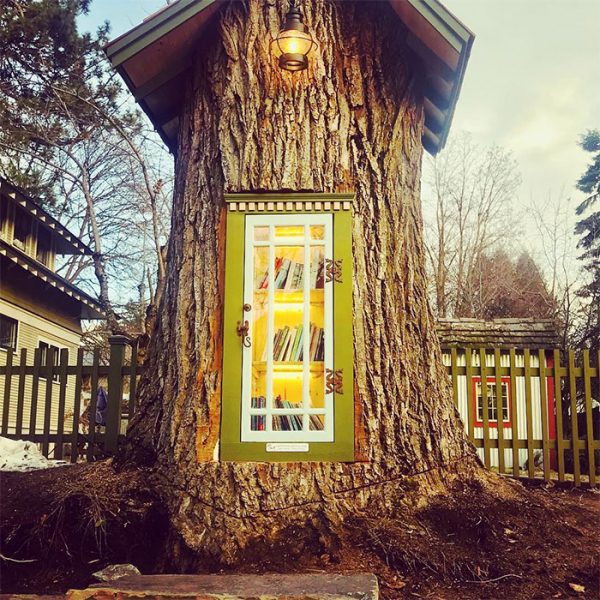 老樹改造免費小圖書館