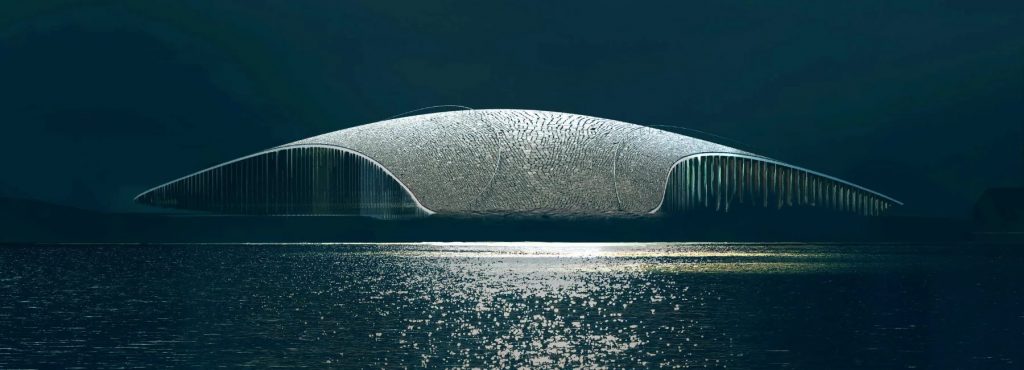 鯨魚建築
