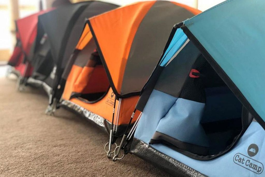貓,帳篷,迷你,露營,假日,旅行,設計,瘋設計