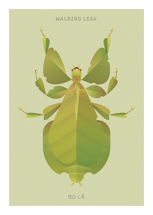 法布爾,Jean-Henri Fabre,生態繪畫,Hoàng Hoàng,昆蟲插畫,樹葉蟲