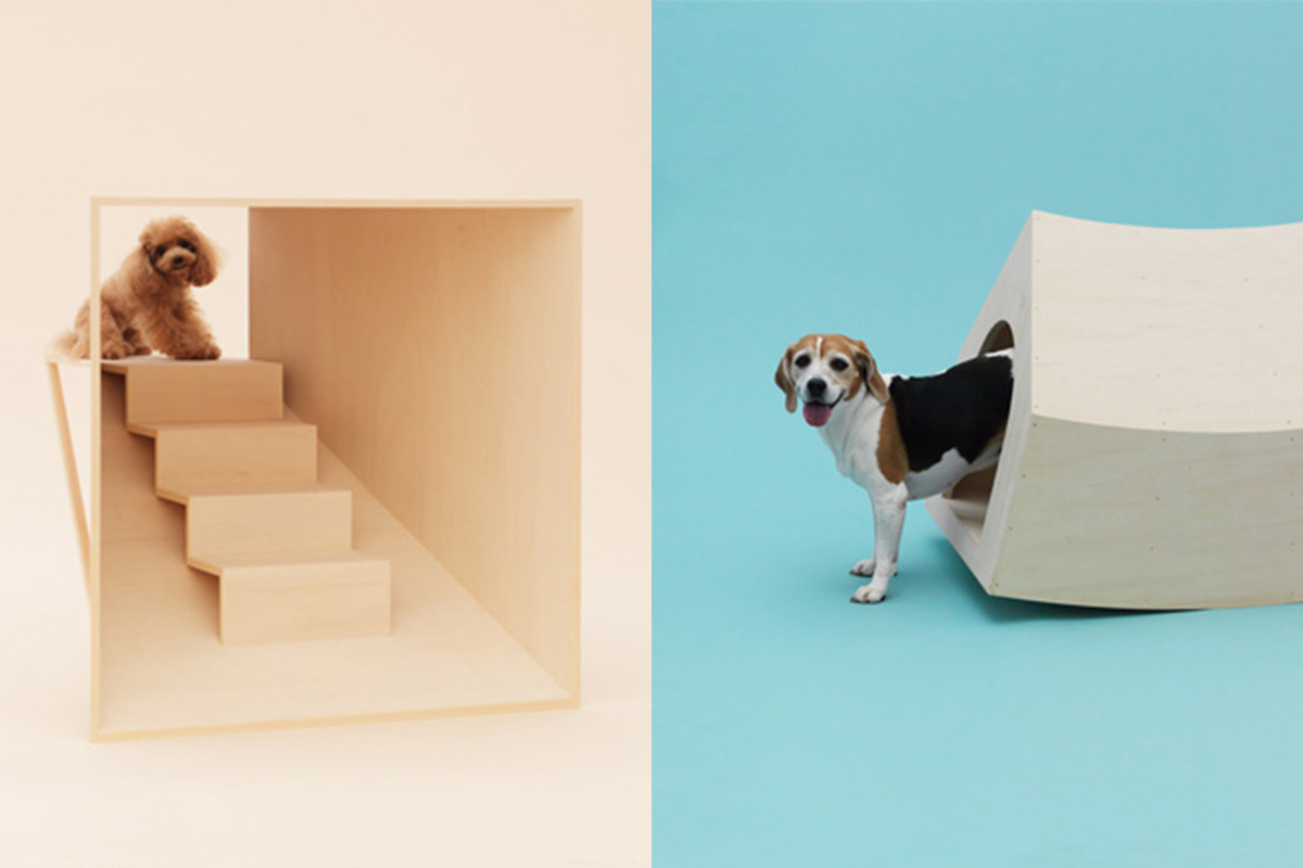 00-architecture-for-dogs