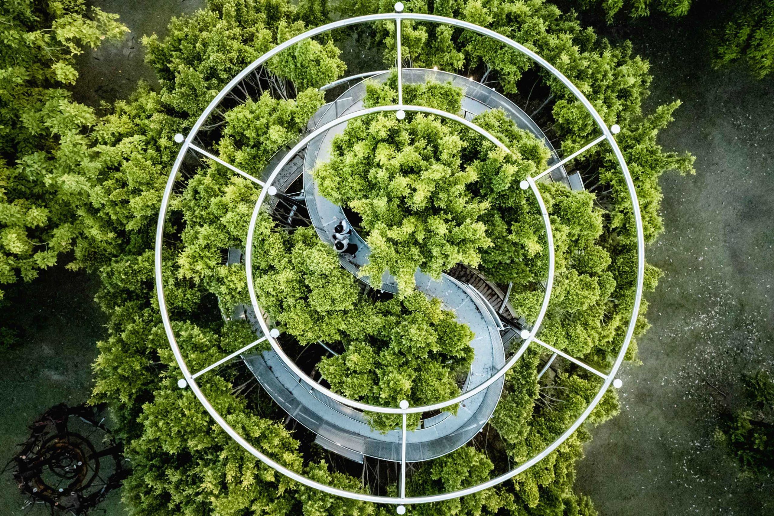 10《大樹宇宙-愛河森林慢板》這座360度環景作品，提供了民眾走上樹林登高遠眺港區風景的難得體驗。-1