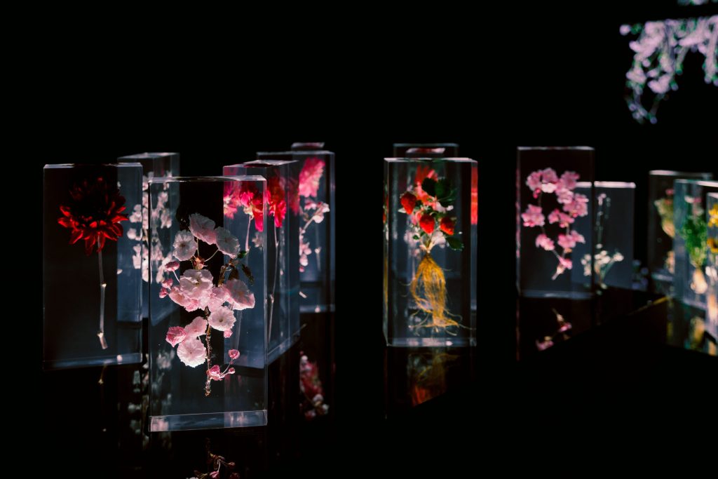 時尚界熱愛的鮮妍花卉| 日本藝術家東信來台首展《繁花．時敘》